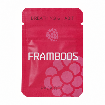 AirLoop Aroma Filter — Aardbei